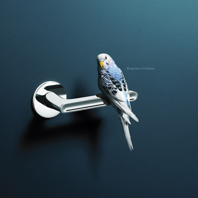 Poignée de porte LUCY B - Chromé / Look inox