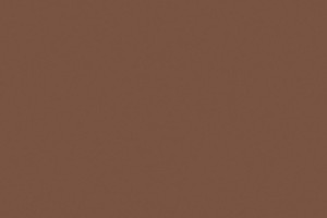 Automne mat 60301